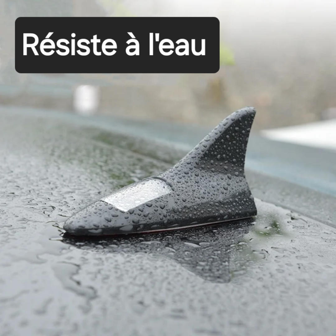 Dos de Requin Lumineux à Énergie Solaire