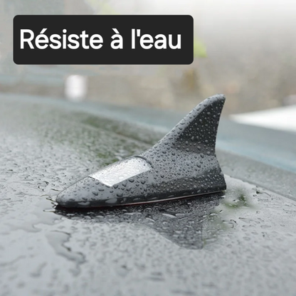 Dos de Requin Lumineux à Énergie Solaire